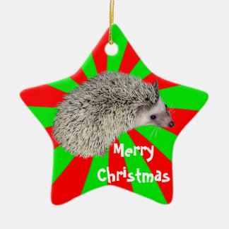 Het Ornament van de Egel van Kerstmis