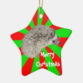 Het Ornament van de Egel van Kerstmis (Links)