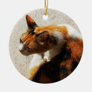 Het Ornament van de Kat van Tricolor