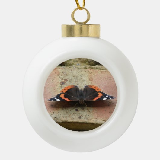 Het Ornament van de Vlinder van de admiraalvlinder (Voorkant)
