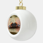 Het Ornament van de Vlinder van de admiraalvlinder (Rechts)