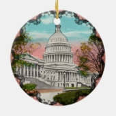 Het  Ornament van het Amerikaanse Capitool (Achterkant)