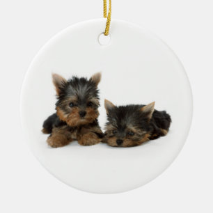 Het Ornament van het Puppy van Yorkshire Terrier