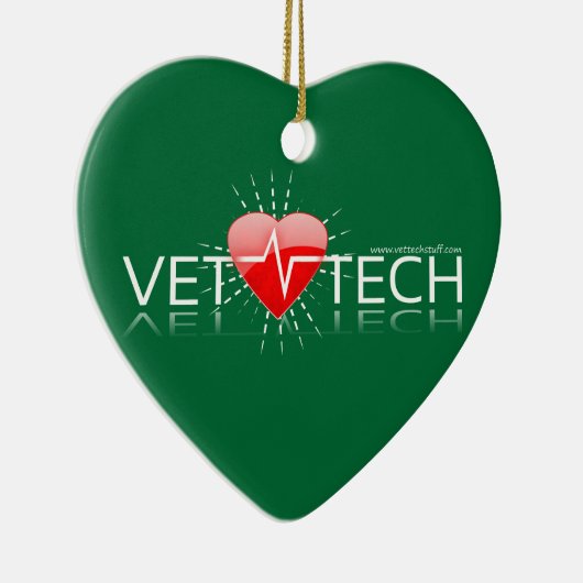 het ornament van Kerstmis van (Rechts)