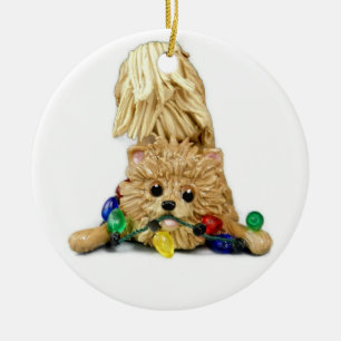 Het Ornament van Kerstmis van Pomeranian