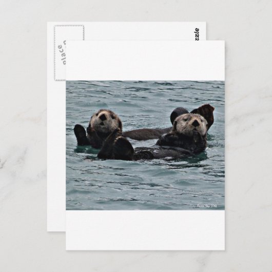 Het otter-paar briefkaart (Voorkant / Achterkant)