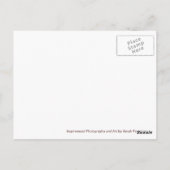 Het oude Briefkaart van de Tractor (Achterkant)