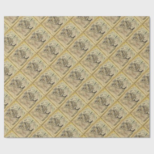 Het oude Britse Beer is een kompas Cadeaupapier (Vlak)