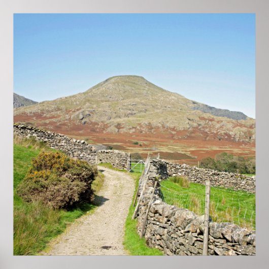 Het oude Man Coniston Briefkaart Cushion Poster (Voorkant)