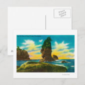 Het oude Man van de Flatterie van de Kappen, WA Briefkaart (Voorkant / Achterkant)