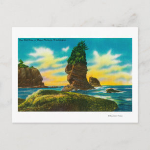 Het oude Man van de Flatterie van de Kappen, WA Briefkaart