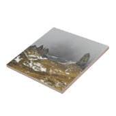 Het oude Man van Storr Tegeltje (Zijkant)