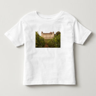Het oude middeleeuwse Chateau de Rully in de Cote Kinder Shirts