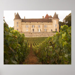 Het oude middeleeuwse Chateau de Rully in de Cote Poster