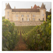 Het oude middeleeuwse Chateau de Rully in de Cote Tegeltje (Voorkant)