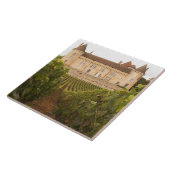 Het oude middeleeuwse Chateau de Rully in de Cote Tegeltje (Zijkant)