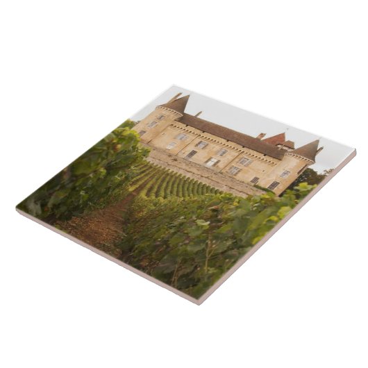 Het oude middeleeuwse Chateau de Rully in de Cote Tegeltje (Zijkant)