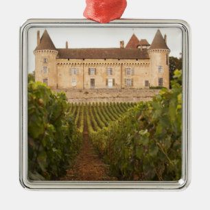 Het oude middeleeuwse Kasteel de Rully in de Cote Metalen Ornament
