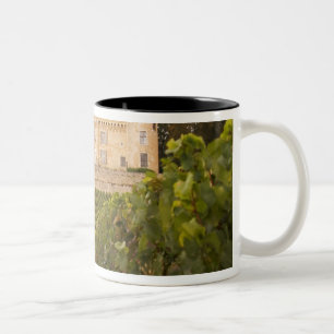 Het oude middeleeuwse Kasteel de Rully in de Cote Tweekleurige Koffiemok
