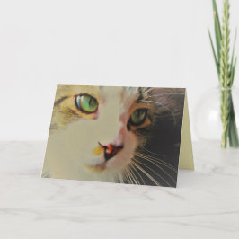 Het overgaan Kat van de Blik met Groene Ogen Kaart