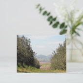 Het overzien van San Juan Valley Briefkaart (Staand voorkant)