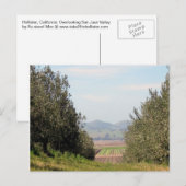 Het overzien van San Juan Valley Briefkaart (Voorkant / Achterkant)