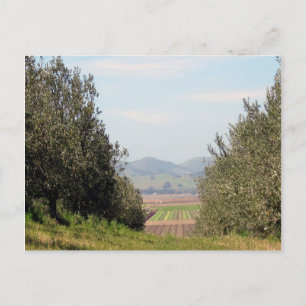 Het overzien van San Juan Valley Briefkaart