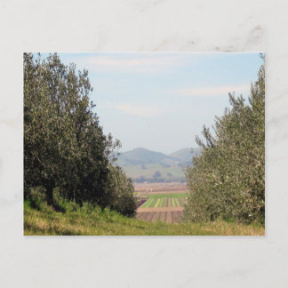 Het overzien van San Juan Valley Briefkaart