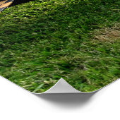 Het P-40 Warbird Poster (Hoek)