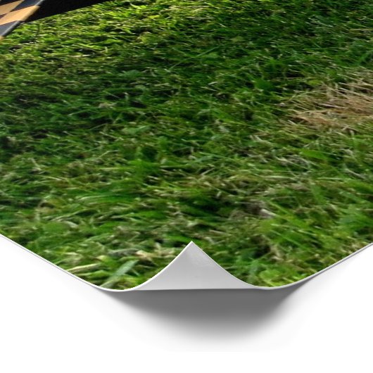 Het P-40 Warbird Poster (Hoek)