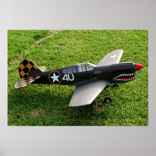 Het P-40 Warbird Poster