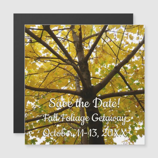 Het paar Gele Bomen van de Mapel herfst sparen de  (Voorkant / Achterkant)