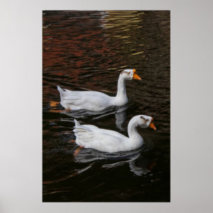 Het Paar Poster