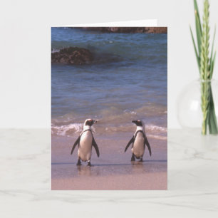 Het Paar van de pinguïn op de strandKaart Kaart