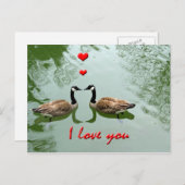 Het Paar van ganzen in Liefde - de "Liefde van I Briefkaart (Voorkant / Achterkant)