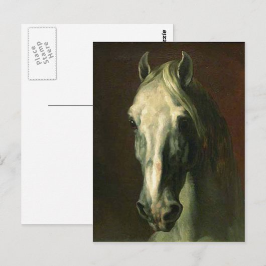 Het  paard briefkaart (Voorkant / Achterkant)