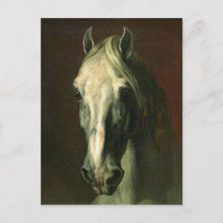 Het paard briefkaart