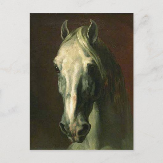 Het  paard briefkaart (Voorkant)