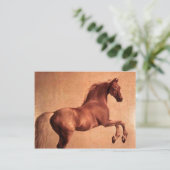 Het  paard briefkaart (Staand voorkant)