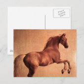 Het  paard briefkaart (Voorkant / Achterkant)