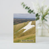 Het paard briefkaart (Staand voorkant)