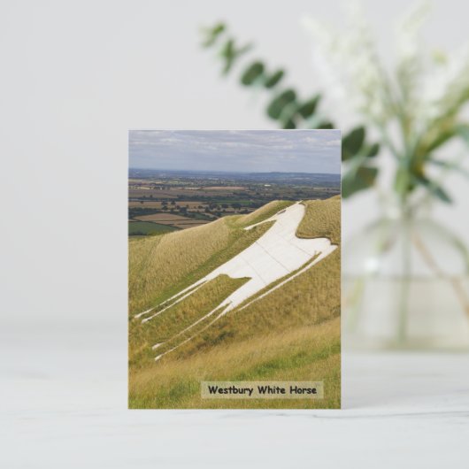 Het paard briefkaart (Staand voorkant)