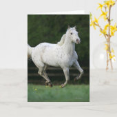 Het Paard die van Appaloosa 1 in werking stellen Kaart (Gele Bloem)