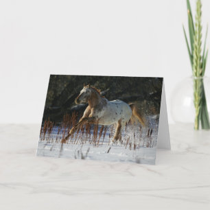 Het Paard die van Appaloosa in de Sneeuw lopen Kaart