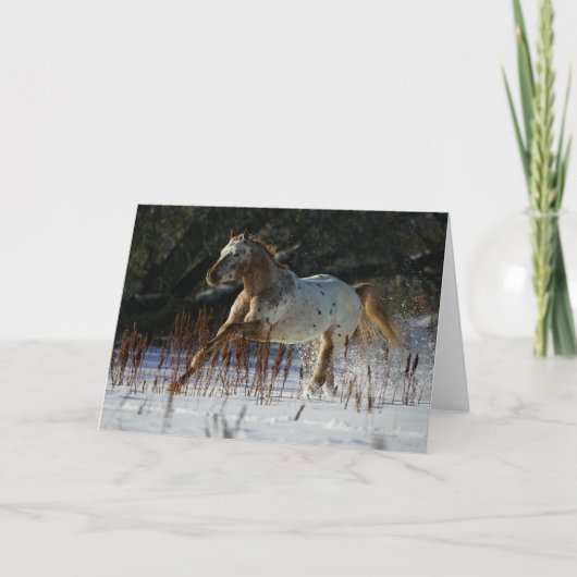 Het Paard die van Appaloosa in de Sneeuw lopen Kaart (Voorkant)