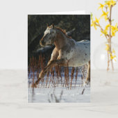 Het Paard die van Appaloosa in de Sneeuw lopen Kaart (Gele Bloem)