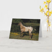 Het Paard die van Appaloosa zich door Meer Kaart (Gele Bloem)