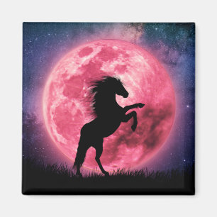 Het paard en de roze maan magneet