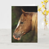 Het Paard Headshot 1 van Appaloosa Kaart (Gele Bloem)