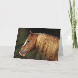 Het Paard Headshot 1 van Appaloosa Kaart